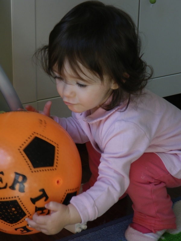 IMGP2303.JPG (600x800, 133kB)