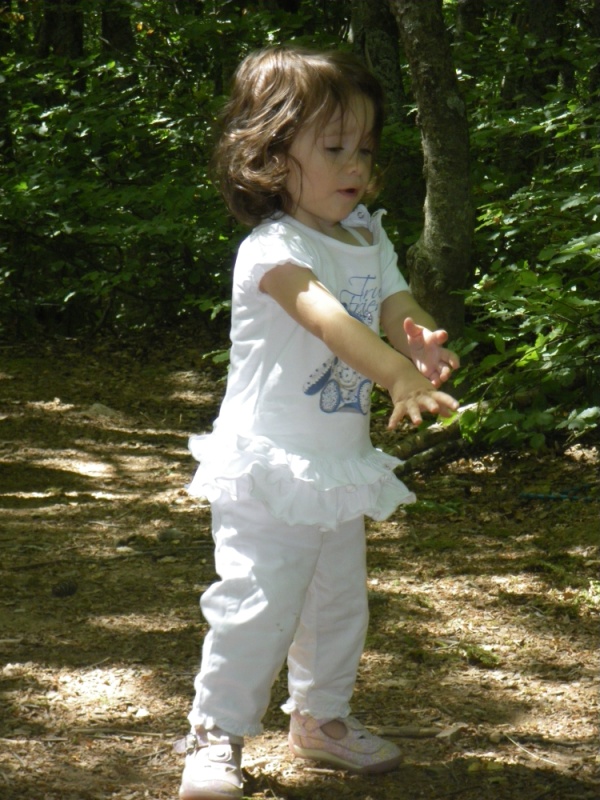 IMGP2620.JPG (600x800, 213kB)