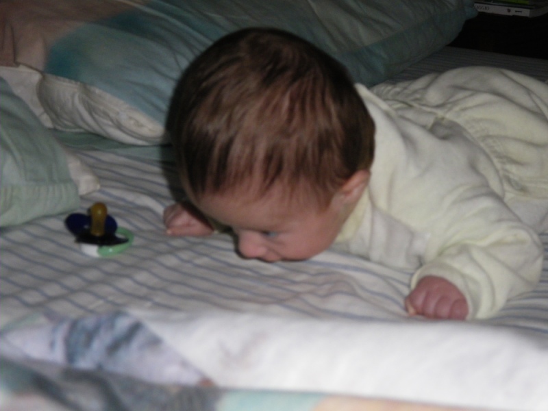 IMGP1460.JPG (800x600, 119kB)
